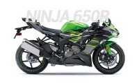 Kawasaki Ninja 650R Carenados